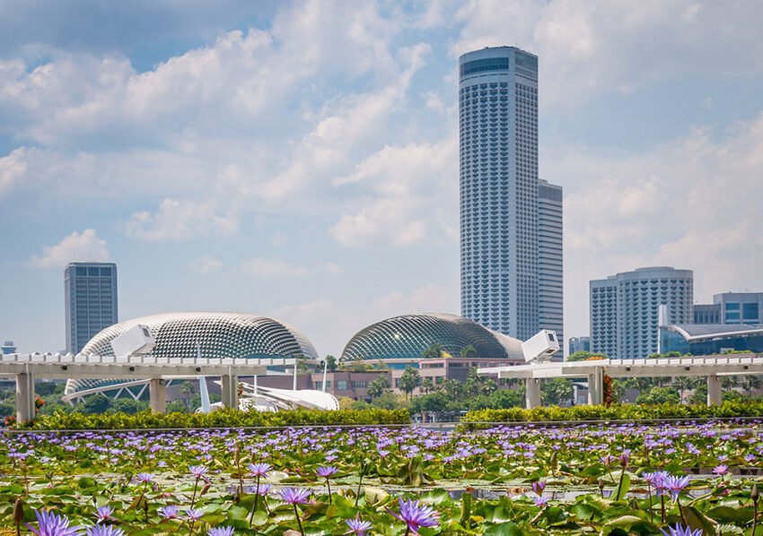 La transition écologique comme remède à la crise